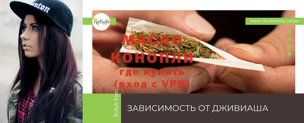 крисы Шадринск