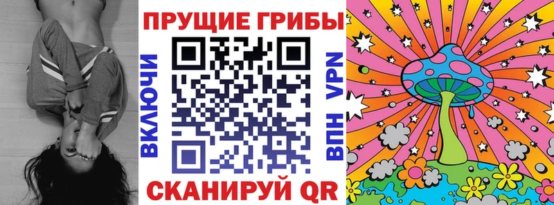 Галлюциногенные грибы Cubensis  Черноголовка 